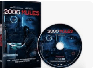 2,000 Mules Hoax Axed by Salem Media Who’ll No Longer Distribute It