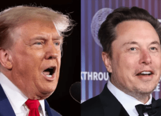 Musk Lovingly Says Trump Will Crash Economy: ‘Temporary Hardship Is Necessary’
