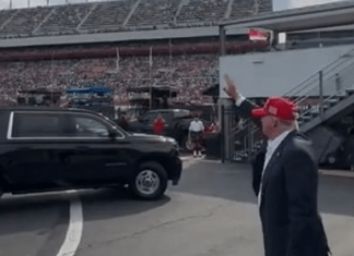Trump Spends Sunday Saluting Songs, Airplanes, Hallucinations?