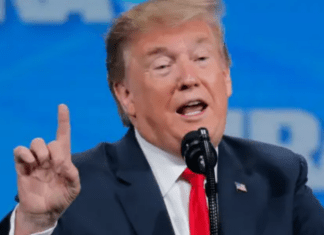 “All You Need Is Trump” Brays the GOP Nominee As His Mind Goes