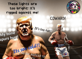 MAGA Psy Ops Cuts Deep. Wait Until Donald Sees This