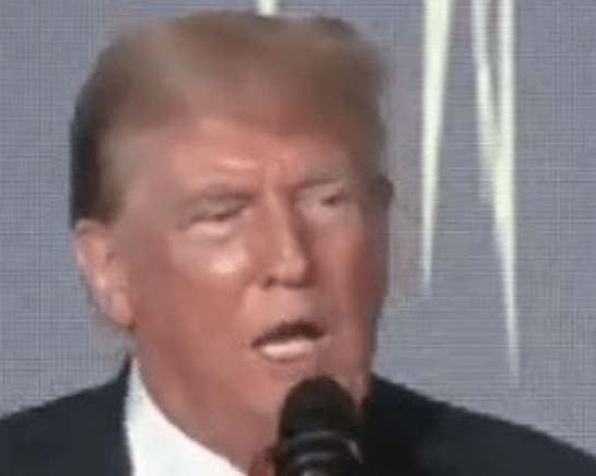 Trump magenta two