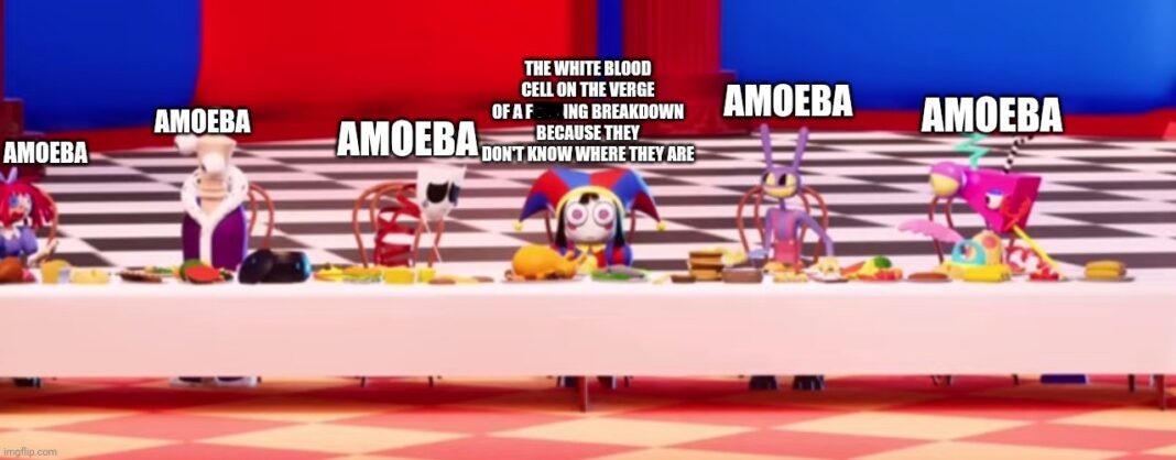 amoeba3
