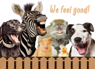Furkids Feel Good!
