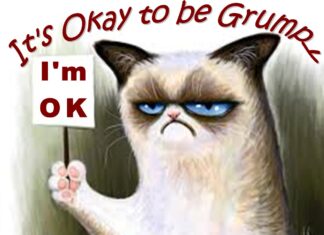 Furkids and the Benefits of Grumpiness