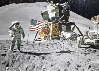 Furkids: Moon Landing Anniversary