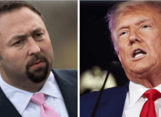 OMG, the Best Oppo Team Trump Has Is Harris ‘Banning Plastic Straws’