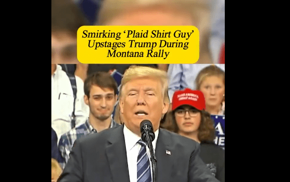 Plaid shirt guy