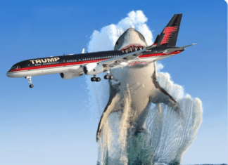 Trump Demands Military Aircraft, Vehicles. What’s With His Own Plane?