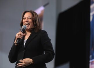 New NY Times/Siena Poll Shows Harris Still Surging in Battleground States
