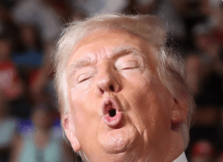 Trump Saw Kamala ‘Turn Black’ Wait Till He Sees Her Turn Prez. This Week In Mash Up