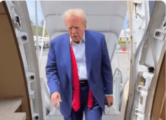 Despondent DonOld Wails ‘Fox Polls Are Rigged and Worthless!’