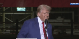 Trump’s Panic Manifests in Michigan