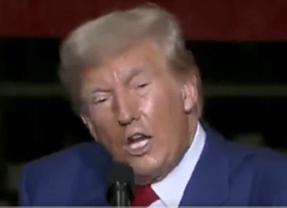 Trump’s “We’re Leading the Internet” Is Prelude To November 6 Blow Up