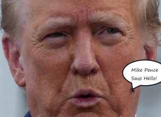 Mike Pence’s Fly Decided To Pay Trump A Visit