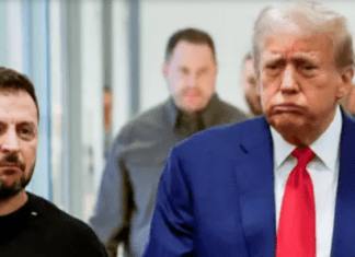 Watch Harris and Then Trump’s Take On Ukraine. No Wonder Zelensky Looks Ill