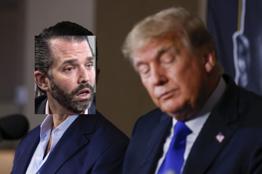 don don jr