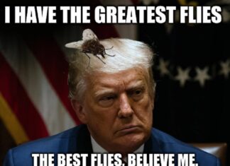 Trump Blames Illegal Immigrants for Fly at Speech