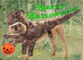 Furkids Celebrate Halloween