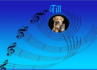 Furkids: Till…
