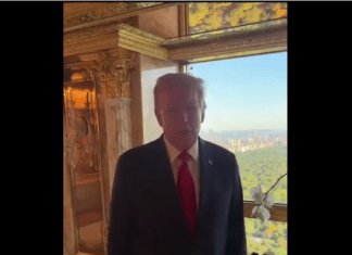 *Billionaire* Begs For Donations From Penthouse As Campaign Implodes