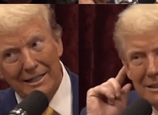 Oops. Did Trump Let It Slip Out That He Pays For Rigged Polls? Listen