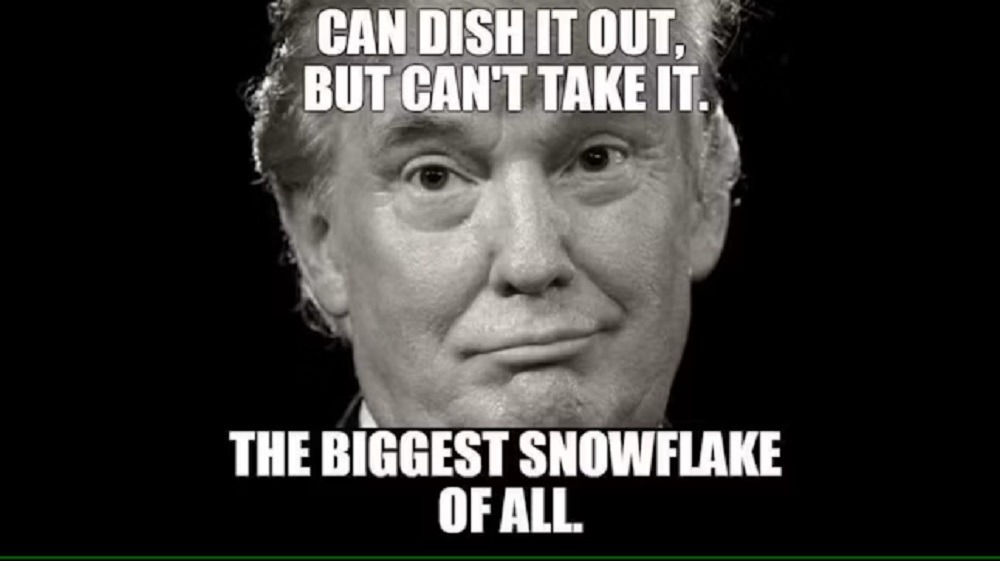 dish it out trump