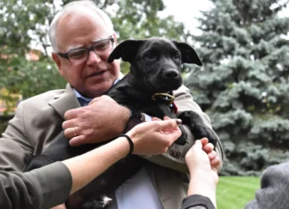 After Last Night It’s Time To ‘Let Walz Be Walz’