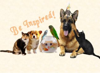 Furkids: In Quotations