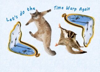 Furkids Reclaim Their Time