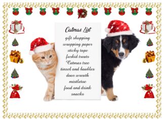 Furkids: Portant Prep Fur Catmas!