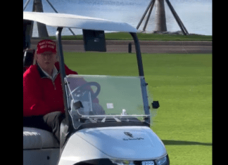 Trump says He’ll “Pay Millions” For Little Black Girl’s Hair At Mar-a-Lago