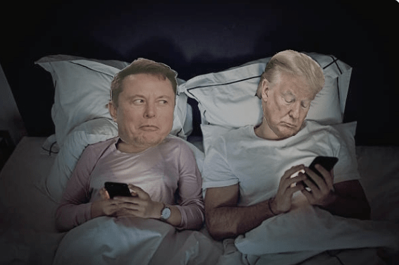 Musk Trump bed