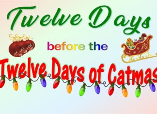 Furkids: The Tenth Day of Catmas