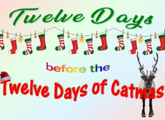 Furkids: Ninth Day of Catmas