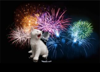 Furkids: Happy New Year 2025