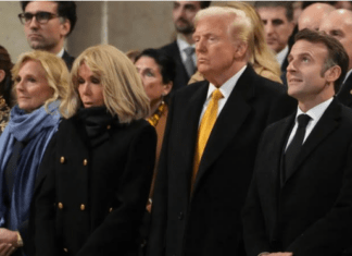Trump Bizarrely Trolls Jill Biden, There Is No Bottom