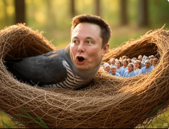 Elon bird's nest