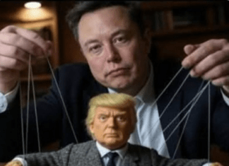Chris Christie Explains Musk’s Days As A Miracle Worker Are Numbered