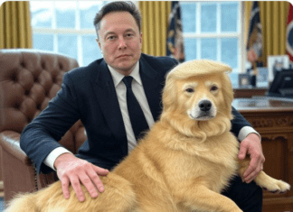 Junior: “The American People Elected Trump and Elon Musk” Sorry, Nope