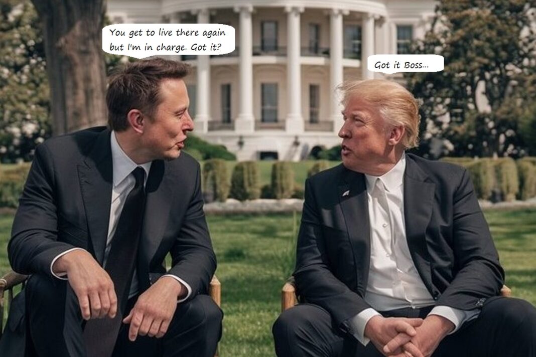elon and donald wh