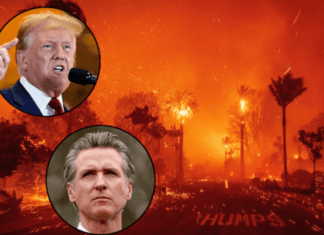 Trump Starts Conspiracy Theory About California Fires. Sigh