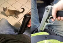 Mike Johnson Politically Shot Himself This Week