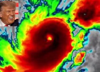 The Tangerine Typhoon Is Upon Us. We’ll Get Through It. Somehow