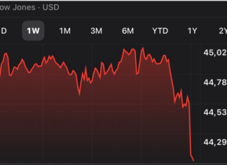 The Stock Market Will Save Us From Trump, It’s Crashing Now
