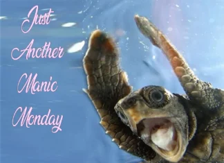 Furkids: Manic Mondays