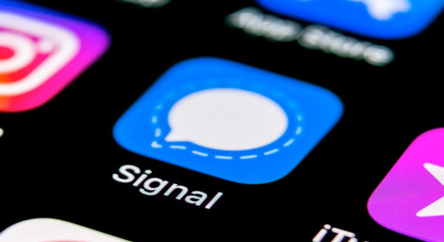 SignalGate Strengthens: Gabbard, Hegseth and Waltz Passwords Found ...