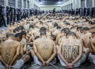 The DOJ Continues with the F***ery About Bringing Back Kilmar Armando Abrego Garcia
