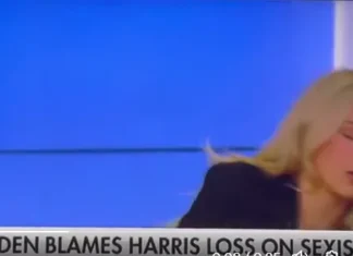 Third Trump Term Proponent Faints Dead Away Live On Fox News