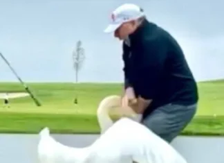 Swan Bites Witkoff In Delicate Spot